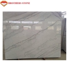 純粋で白い大理石の石造りの平板、耐久力のある純粋で白い大理石の床タイル