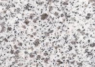 床タイルおよび階段のための自然な普及したツバキの白いG603花こう岩