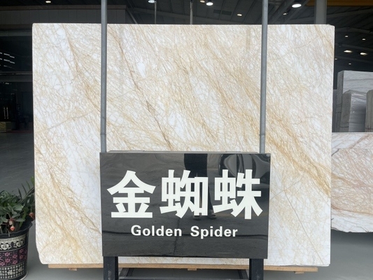 磨いたスパイダー ゴールデンマーブルスレイブ 現代のヴィラ壁床グラフィックデザインに理想的です
