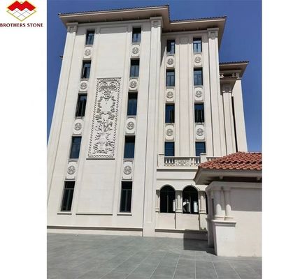 外壁の壁カバーのためのサイズに切断された花岩 現代的なデザインと高密度