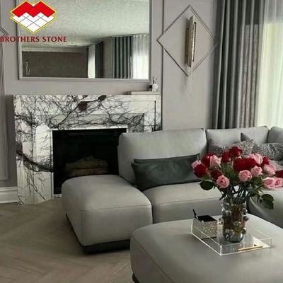 屋内においしい雪梅の壁炉 ヨーク家用アーチ式フランス式ストーンで囲まれ