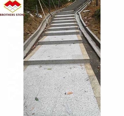 ポリッシュした大きな60*60 グラニットブロック 現代のデザインで天然のサイズに切断された生石